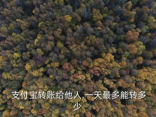  支付寶轉(zhuǎn)賬給他人,一天最多能轉(zhuǎn)多少