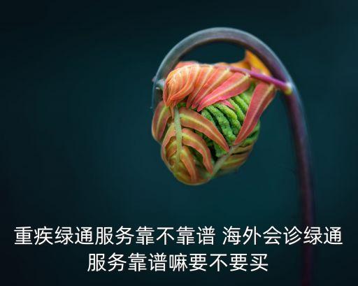 海外二次診療多少錢,海外第二診療意見