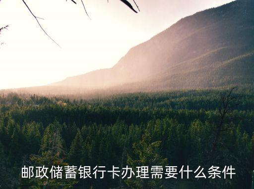 郵政多少歲可以辦卡,郵政銀行多少錢辦vip