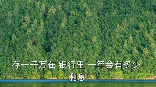 存一千萬在 銀行里 一年會有多少 利息