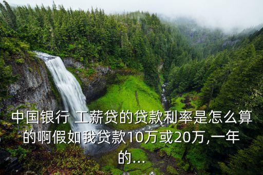 中國(guó)銀行 工薪貸的貸款利率是怎么算的啊假如我貸款10萬(wàn)或20萬(wàn),一年的...