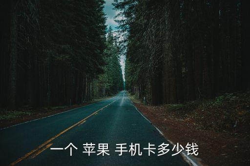 一個(gè) 蘋果 手機(jī)卡多少錢