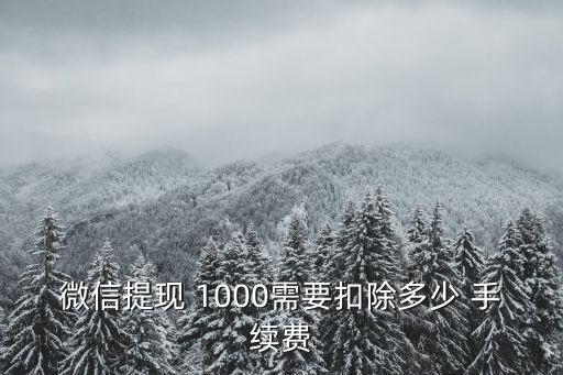 微信提現(xiàn) 1000需要扣除多少 手續(xù)費