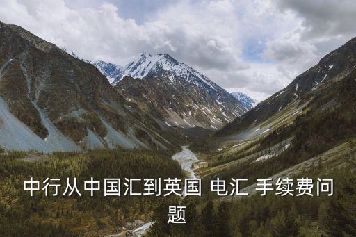 境外電匯匯款手續(xù)費(fèi)多少,境外 電匯 手續(xù)費(fèi) 收款人承擔(dān)