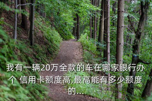 我有一輛20萬全款的車在哪家銀行辦個 信用卡額度高,最高能有多少額度的...