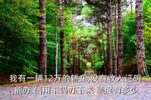 11萬車辦信用卡額度多少錢