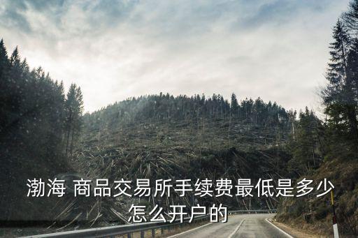 渤海商品多少倍杠桿是什么意思