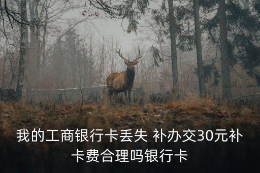 補辦借機卡多少錢,補辦sim卡需要多少錢