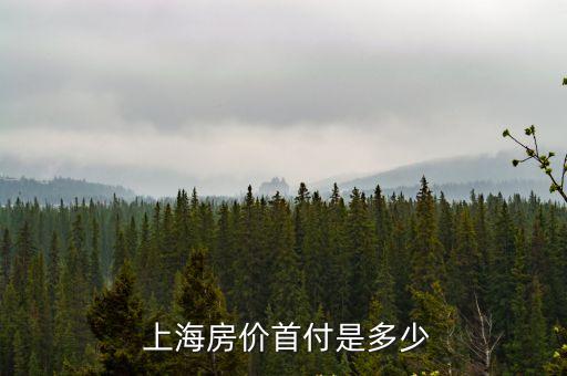  上海房價(jià)首付是多少
