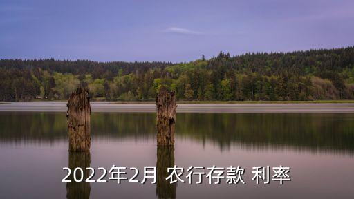 2022年2月 農(nóng)行存款 利率