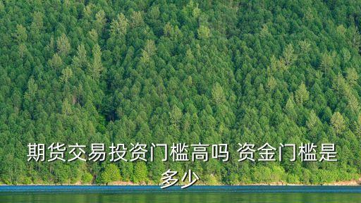 期貨需要多少資金,一手中證500期貨需要多少資金