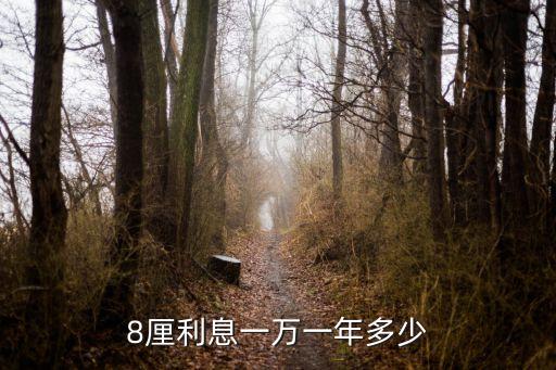 8厘利息一萬一年多少