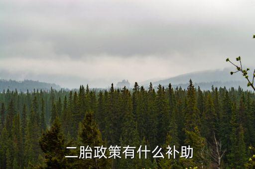  二胎政策有什么補助