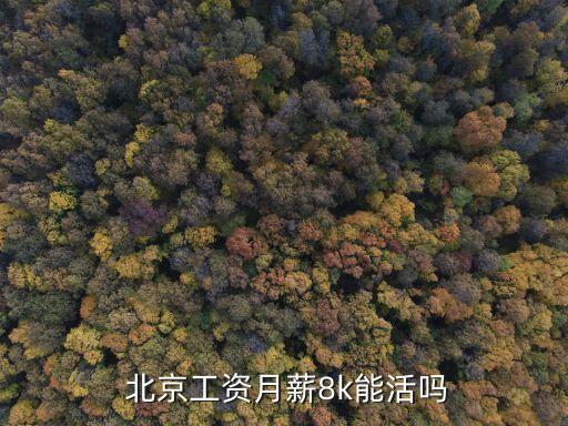 北京一月多少錢能生存,北京3000塊錢能生存嗎