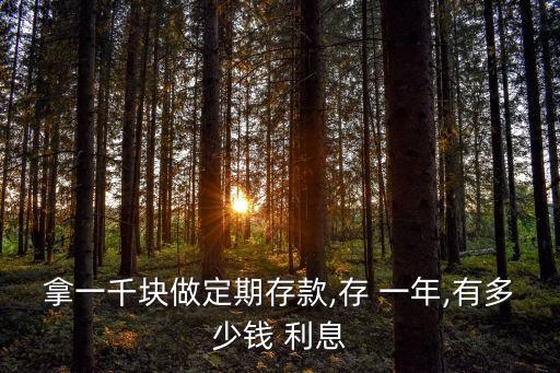銀行1000一年多少利息多少,1000萬放在銀行一年的利息有多少
