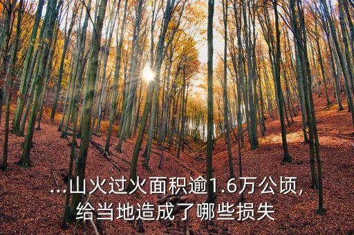 韓國經(jīng)濟損失多少,經(jīng)濟損失達到多少追究刑事責(zé)任