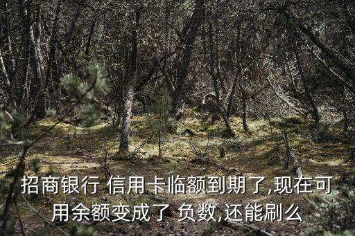 信用卡負數(shù)還能刷多少,為什么信用卡負數(shù)還能刷錢