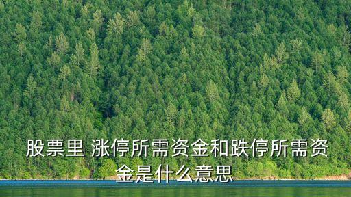  股票里 漲停所需資金和跌停所需資金是什么意思
