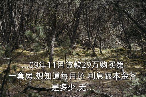 ...09年11月貸款29萬購買第一套房,想知道每月還 利息跟本金各是多少,無...