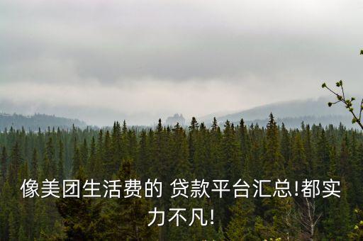 像美團(tuán)生活費(fèi)的 貸款平臺匯總!都實力不凡!
