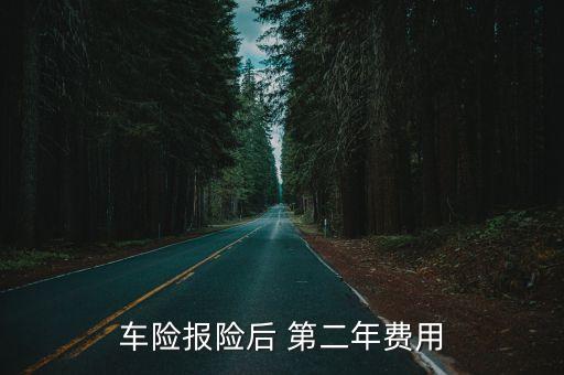 車險(xiǎn)報(bào)險(xiǎn)后 第二年費(fèi)用