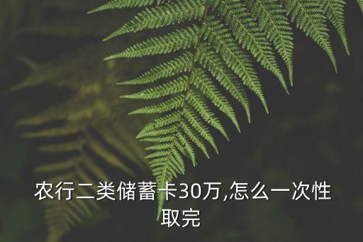  農(nóng)行二類儲(chǔ)蓄卡30萬(wàn),怎么一次性取完