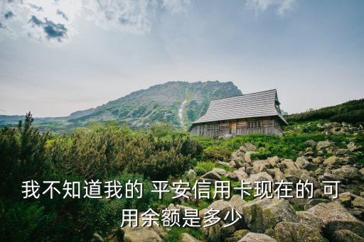 平安怎么查可用額度是多少時間