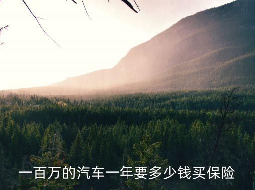 一百萬的汽車一年要多少錢買保險