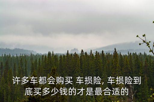 車損最高可以買多少
