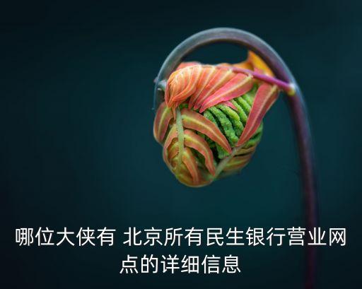 哪位大俠有 北京所有民生銀行營業(yè)網(wǎng)點(diǎn)的詳細(xì)信息