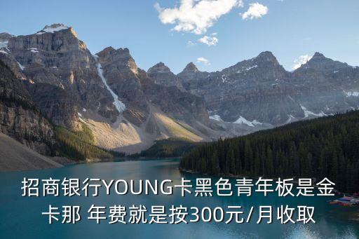 招行金信用卡年費(fèi)多少,招行first畢業(yè)生信用卡有年費(fèi)嗎