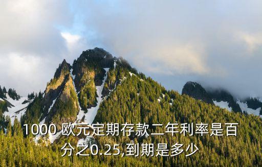 1000 歐元定期存款二年利率是百分之0.25,到期是多少