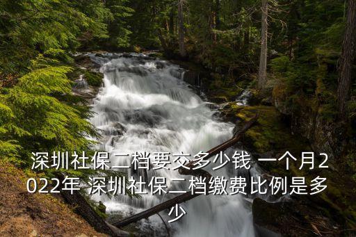  深圳社保二檔要交多少錢 一個(gè)月2022年 深圳社保二檔繳費(fèi)比例是多少
