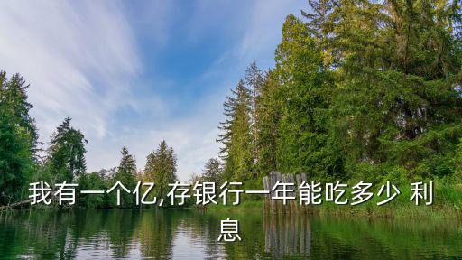 存款1億元利息多少錢,20萬一年存款利息多少錢