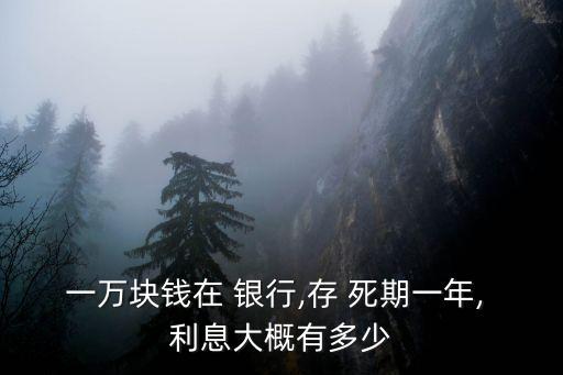 錢存銀行死期利息是多少錢,錢存死期那個(gè)銀行利息高一點(diǎn)
