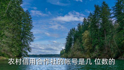 信用社卡號有多少位數(shù),河南信用社卡號幾位數(shù)