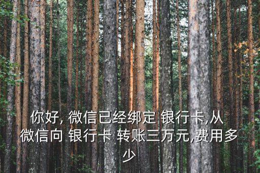 你好, 微信已經(jīng)綁定 銀行卡,從 微信向 銀行卡 轉(zhuǎn)賬三萬元,費用多少
