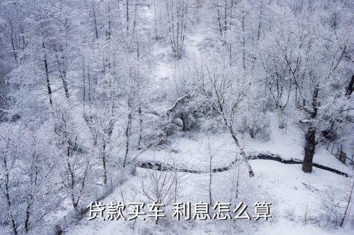 貸款購車的利息是多少錢,企業(yè)貸款購車?yán)⒌馁~務(wù)處理