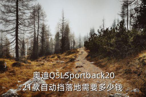 奧迪q5按揭多少錢