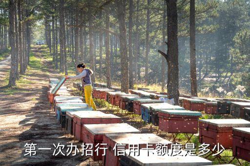 第一張信用卡多少錢,信用卡第一筆消費不能超過多少