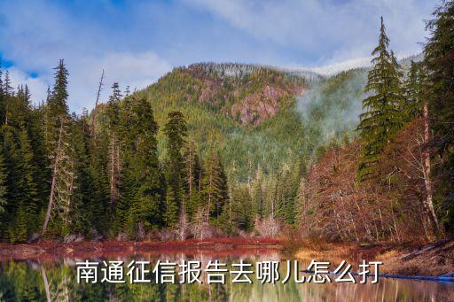  南通征信報(bào)告去哪兒怎么打