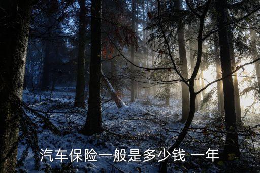 汽車保險(xiǎn)一般是多少錢 一年