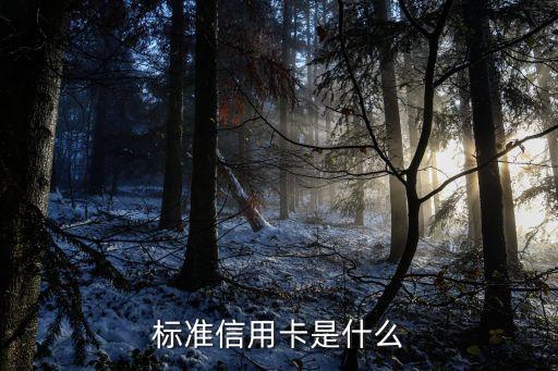 招行海賊王卡額度多少,招行first卡有多少額度