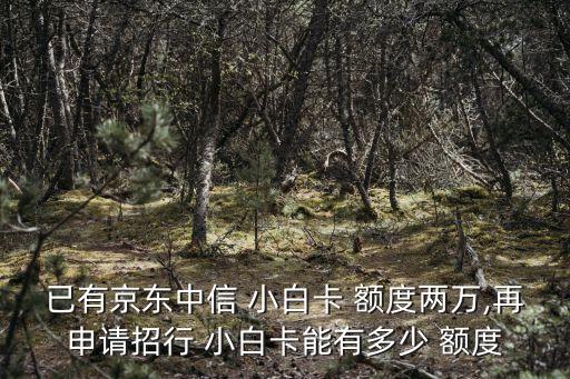 招商小白卡最高額度是多少錢,招商年輕young卡最高額度