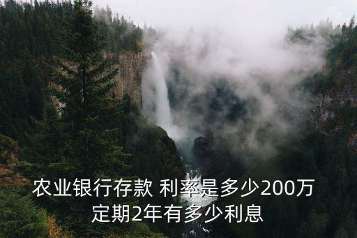農業(yè)銀行存款 利率是多少200萬 定期2年有多少利息