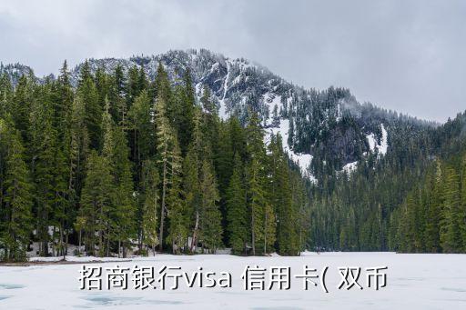 招行雙幣信用卡鈦金卡額度多少錢