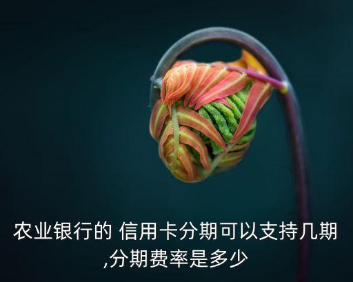 農(nóng)行信用卡能分多少期