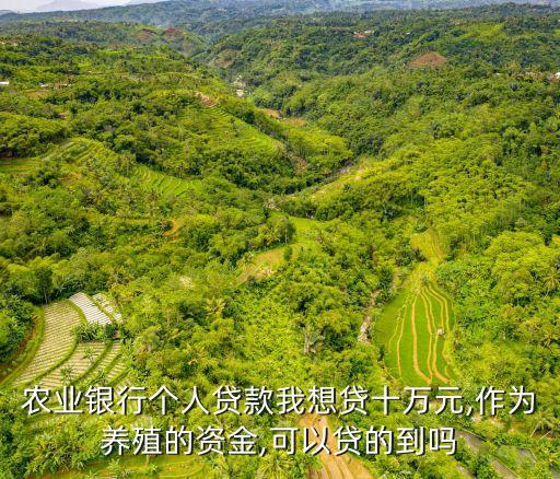 農(nóng)業(yè)銀行個(gè)人貸款我想貸十萬(wàn)元,作為養(yǎng)殖的資金,可以貸的到嗎