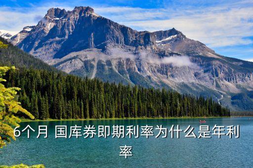 國庫券利息是多少錢,2022年國庫券利息