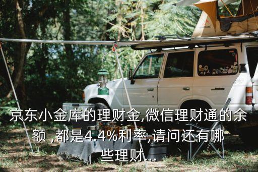 熊貓金服活期是多少錢